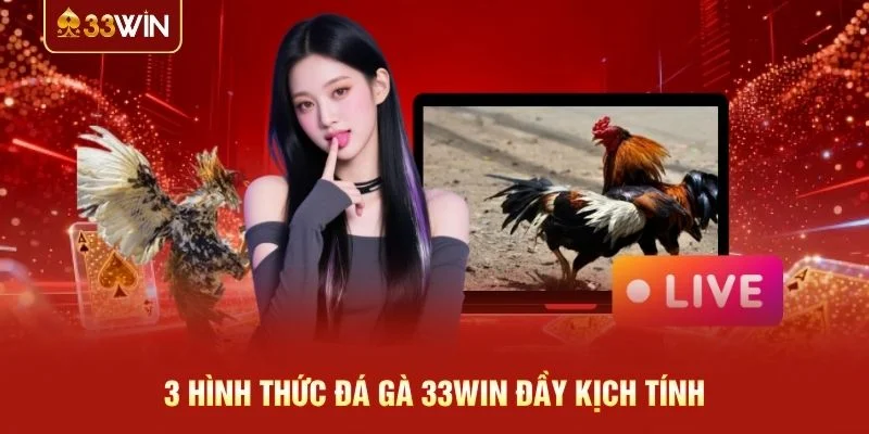 3 hình thức đá gà 33WIN đầy kịch tính