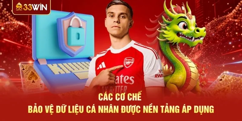 Các cơ chế bảo vệ dữ liệu cá nhân được nền tảng áp dụng