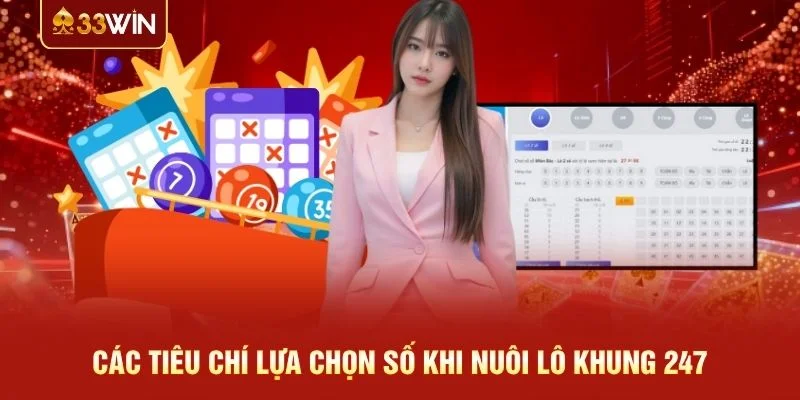 Các tiêu chí lựa chọn số khi nuôi lô khung 247