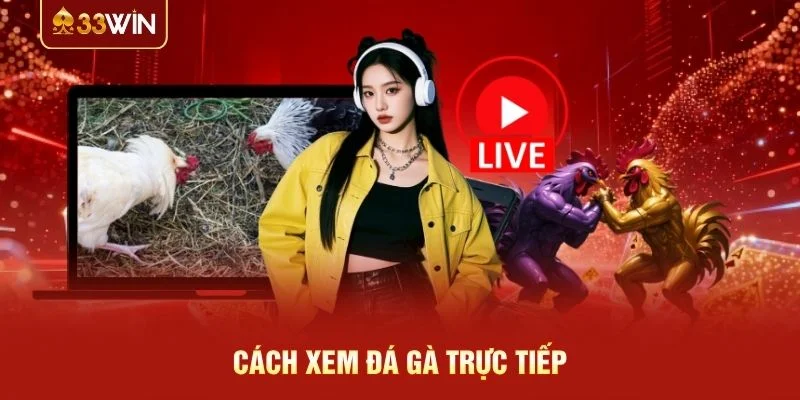 Cách xem đá gà trực tiếp