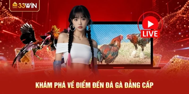 Khám phá về điểm đến đá gà đẳng cấp